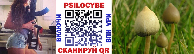 Псилоцибиновые грибы ЛСД  Циолковский 